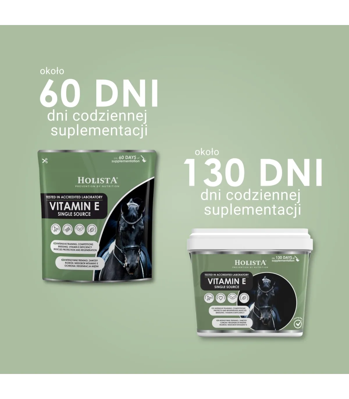 ZESTAW Witamina E 400g + MSM 450g