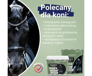 ZESTAW Witamina E 400g + MSM 450g