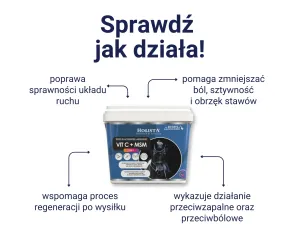 Witamina C + MSM 1000g + Wiadro elastyczne 17l GRATIS - Pakiet Startowy