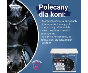 Witamina C + MSM 1000g + Wiadro elastyczne 17l GRATIS - Pakiet Startowy