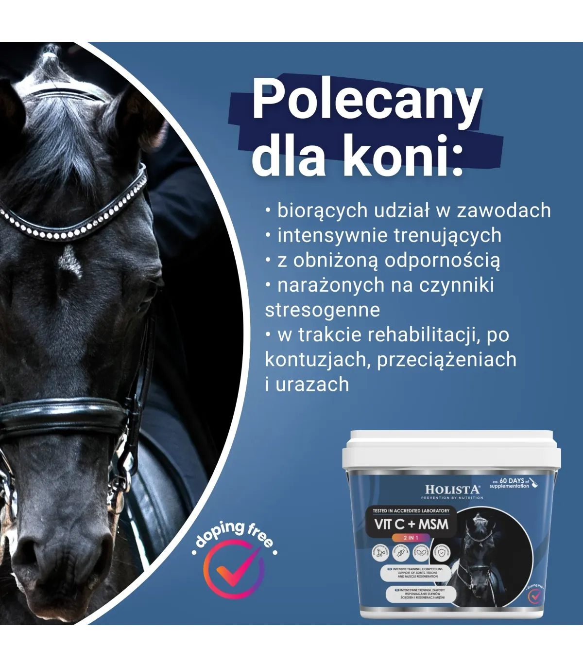 Witamina C + MSM 1000g + Wiadro elastyczne 17l GRATIS - Pakiet Startowy