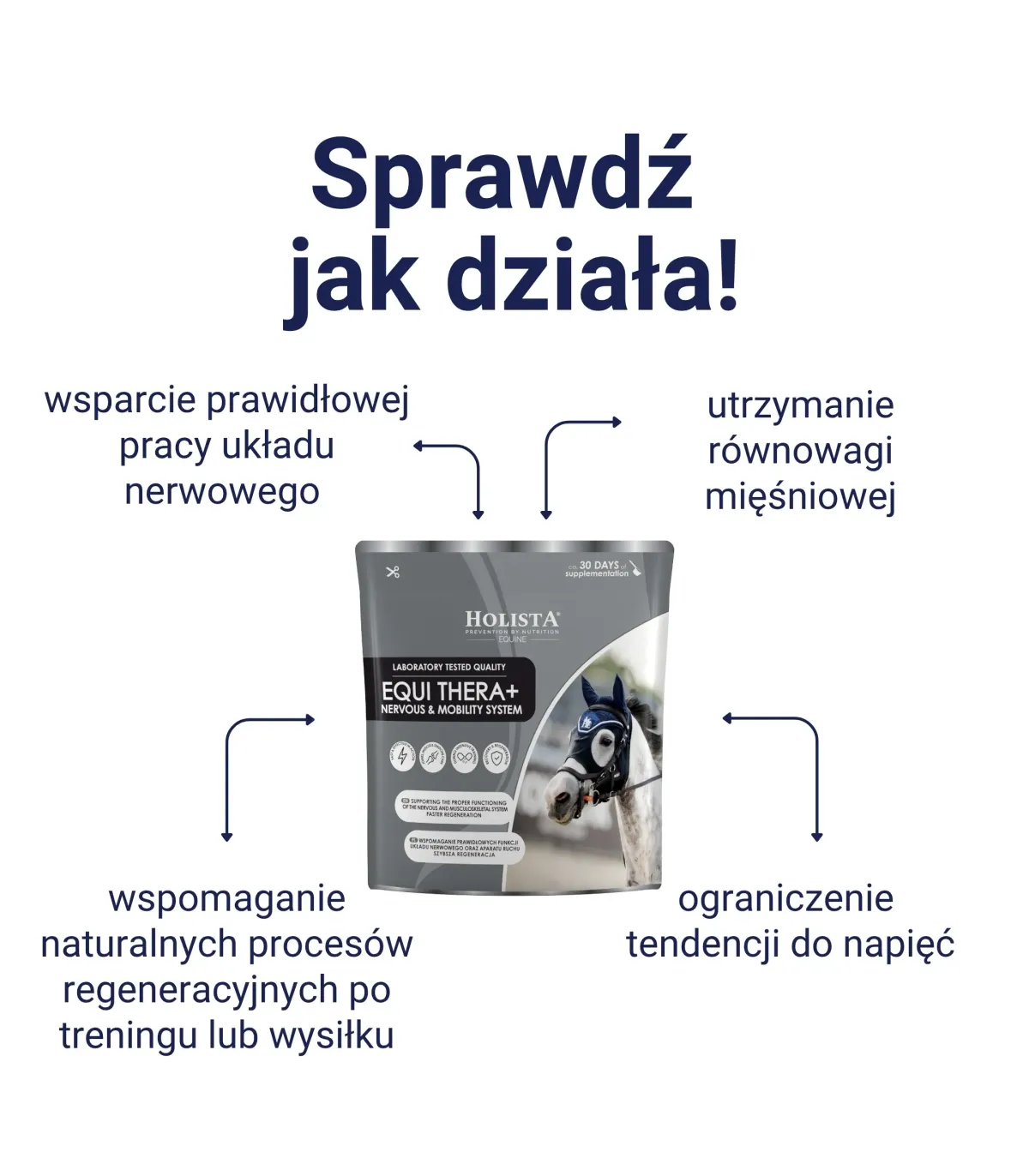 Equi Thera 800g profesjonalne wsparcie układu nerwowego i mięśni