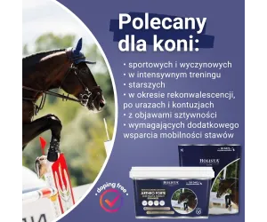 Arthro Forte 600g profesjonalna ochrona i regeneracja aparatu ruchu