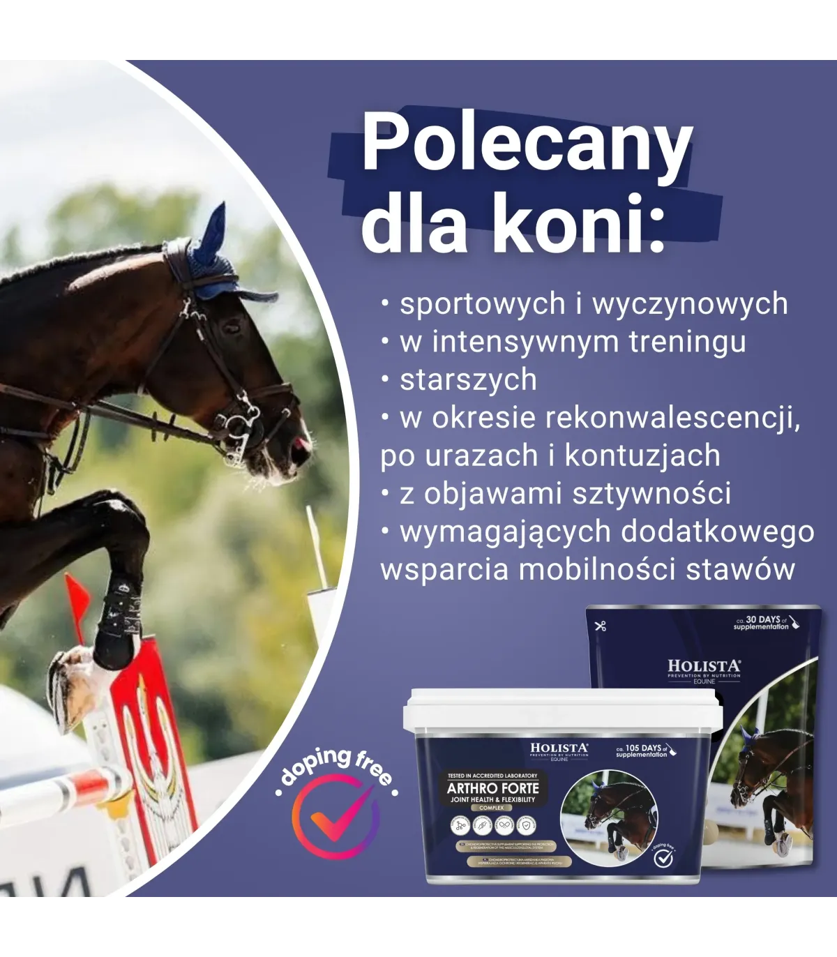 Arthro Forte 600g profesjonalna ochrona i regeneracja aparatu ruchu