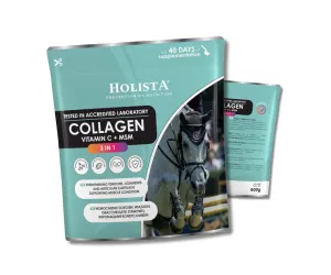 Kolagen 3w1 Vit C + MSM 600g - wzmocnienie stawów koni