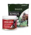 Smar Hoof Expert Intense Serum + Boswellia Serrata Complex 500g regeneracja kopyt