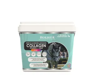 Kolagen 3w1 Vit C + MSM 1kg - wzmocnienie stawów koni