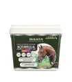 Boswellia Serrata Complex 1000g regeneracja stawów