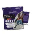 Muscle Endurance Complex 400g rozbudowa mięśni