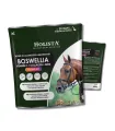 Boswellia Serrata Complex 500g regeneracja stawów
