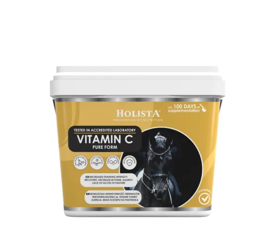 Holista Equine Witamina C 600g
