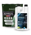 Boswellia Serrata Complex 500g + Elektrolity dla konia Rehydration 1l 50% TANIEJ