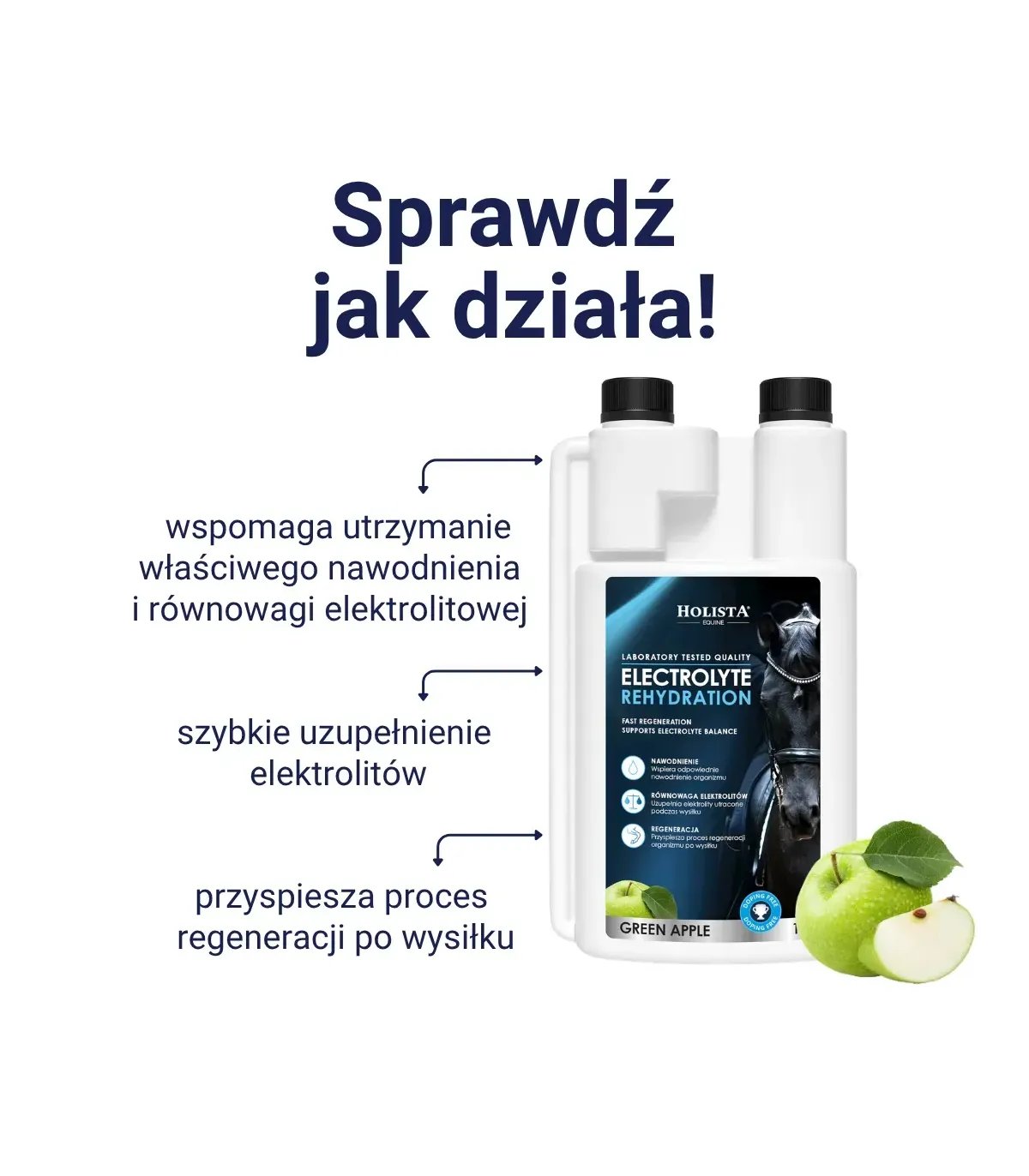 Elektrolity Holista Equine Rehydration 1l + Witamina C + MSM 1000g
