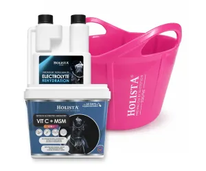 Elektrolity Rehydration 1l + Witamina C + MSM 1000g + Wiadro elastyczne 17l GRATIS