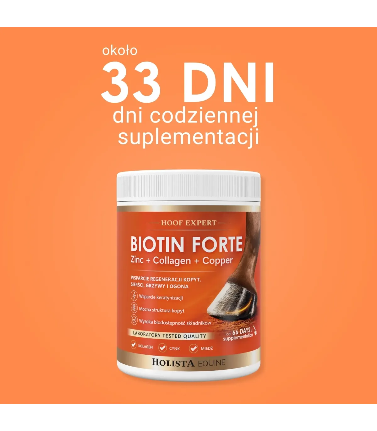 Biotin Forte 1000g kompleksowe wsparcie kondycji kopyt