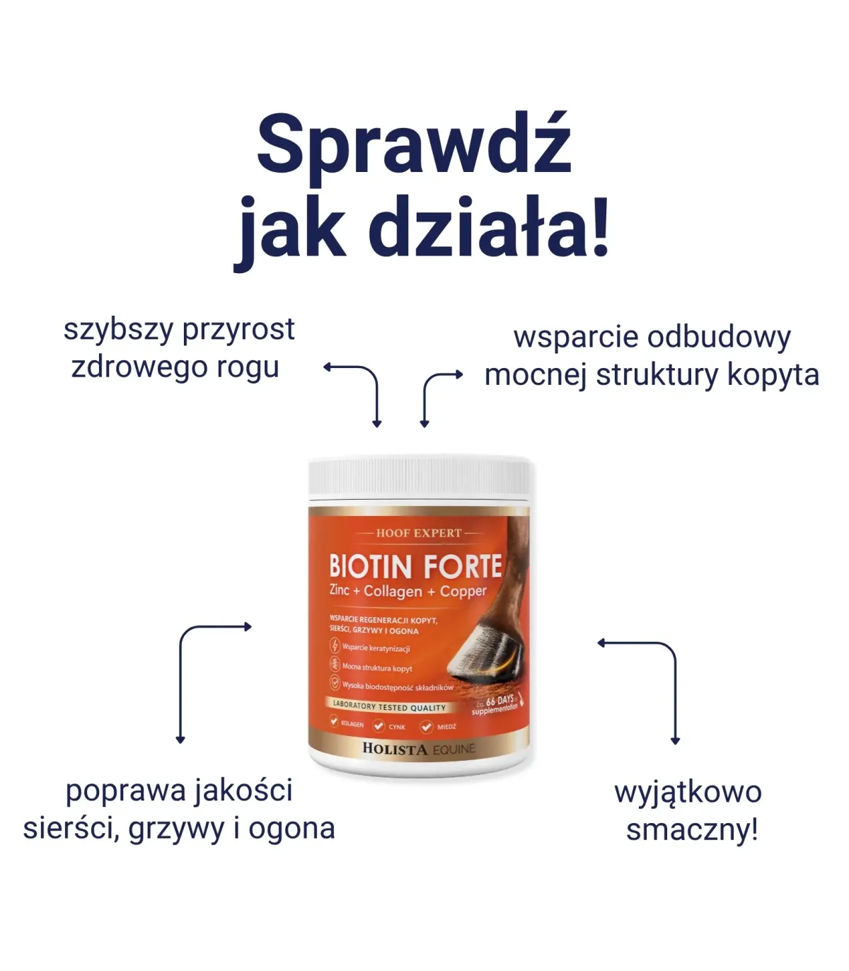 Biotin Forte 1000g kompleksowe wsparcie kondycji kopyt
