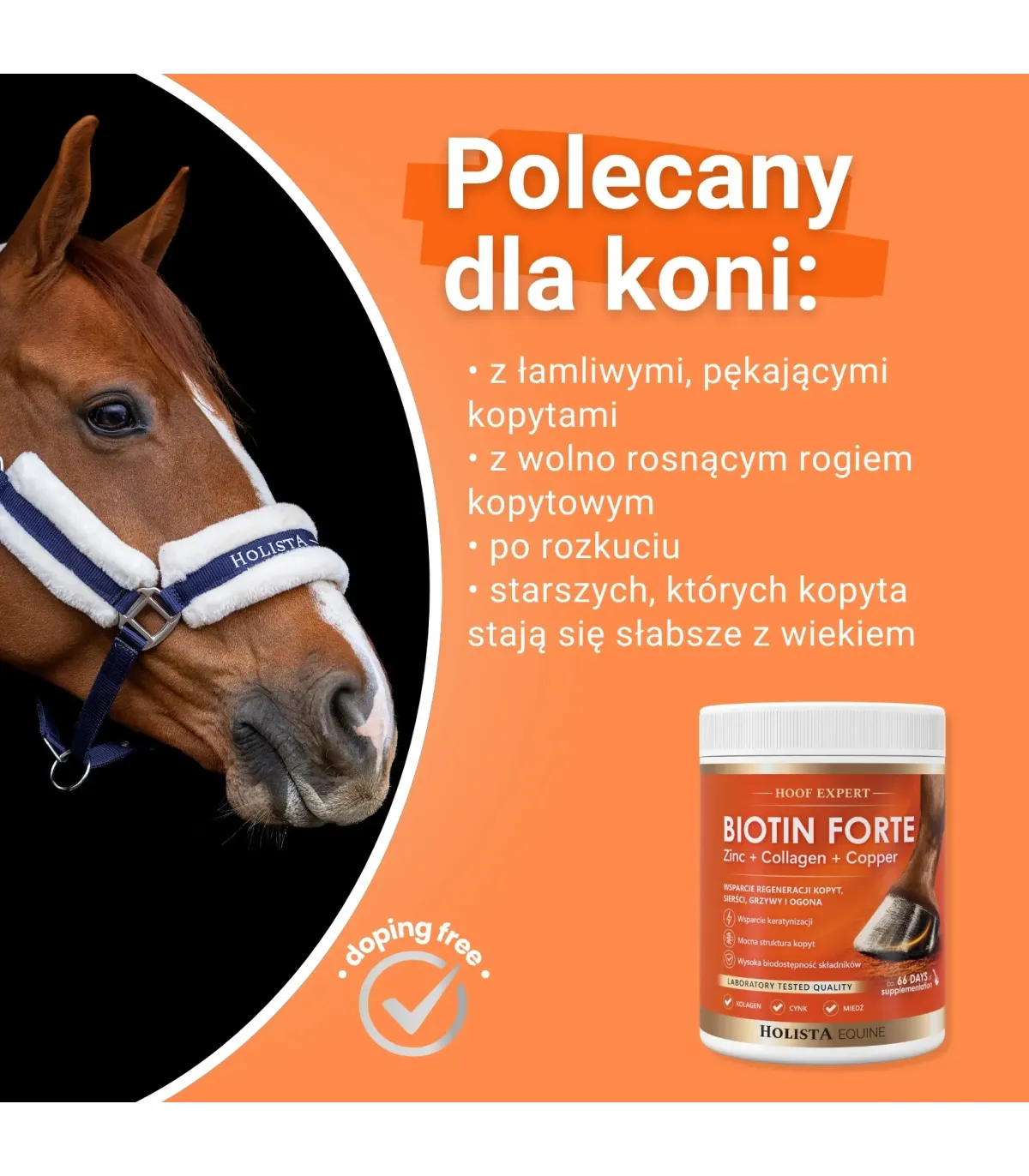 Biotin Forte 1000g kompleksowe wsparcie kondycji kopyt