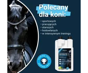 Elektrolity w zestawie - Rehydration 1l + Calm&Focus 1l 20% TANIEJ