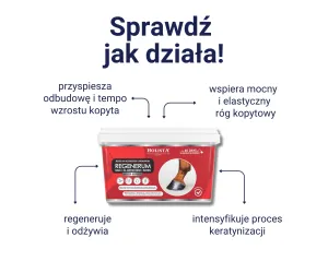 Hoof Expert Regenerum 1000g szybki wzrost i regeneracja kopyt
