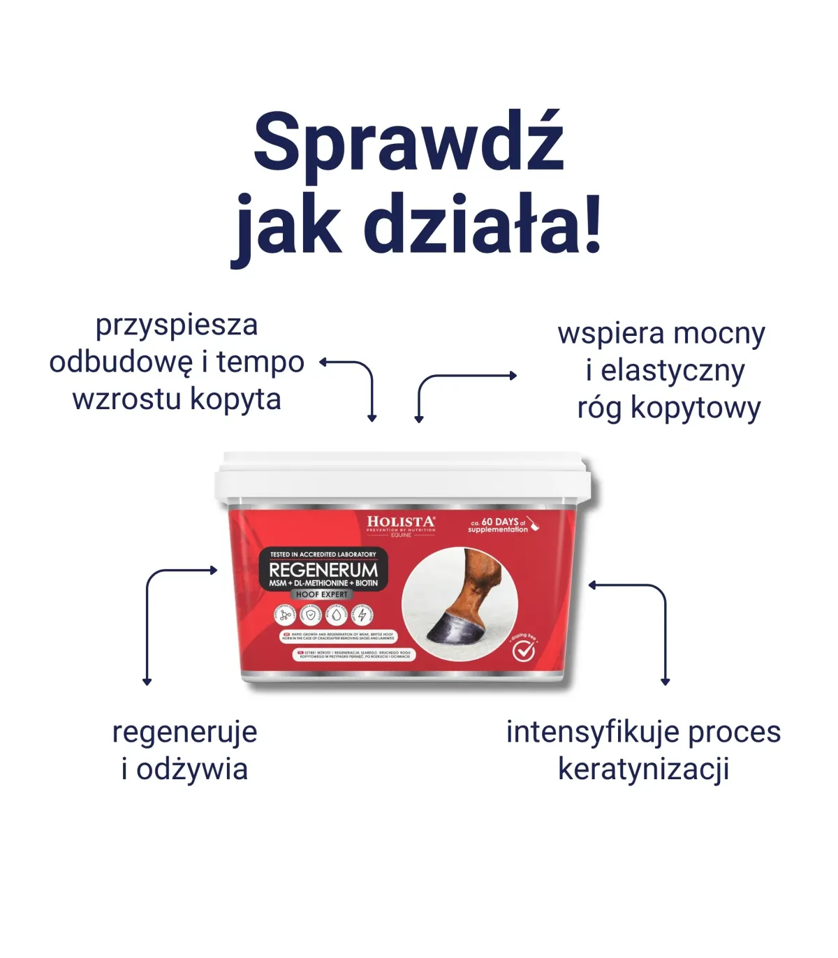 Hoof Expert Regenerum 1000g szybki wzrost i regeneracja kopyt