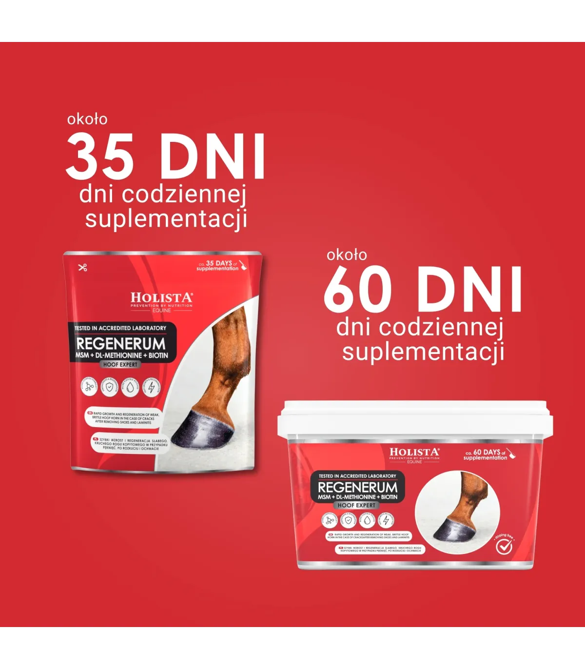 Hoof Expert Regenerum 1000g szybki wzrost i regeneracja kopyt