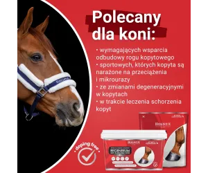 Hoof Expert Regenerum 1000g szybki wzrost i regeneracja kopyt