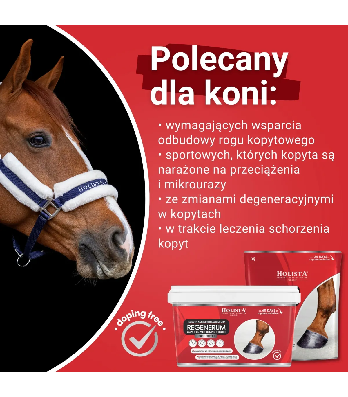 Hoof Expert Regenerum 1000g szybki wzrost i regeneracja kopyt