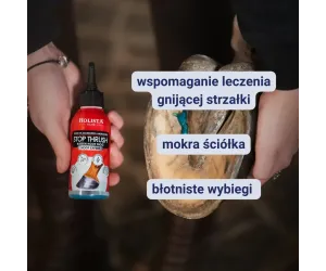 Odporność i zdrowe kopyta - Witamina C 600g + Stop Thrush 100ml