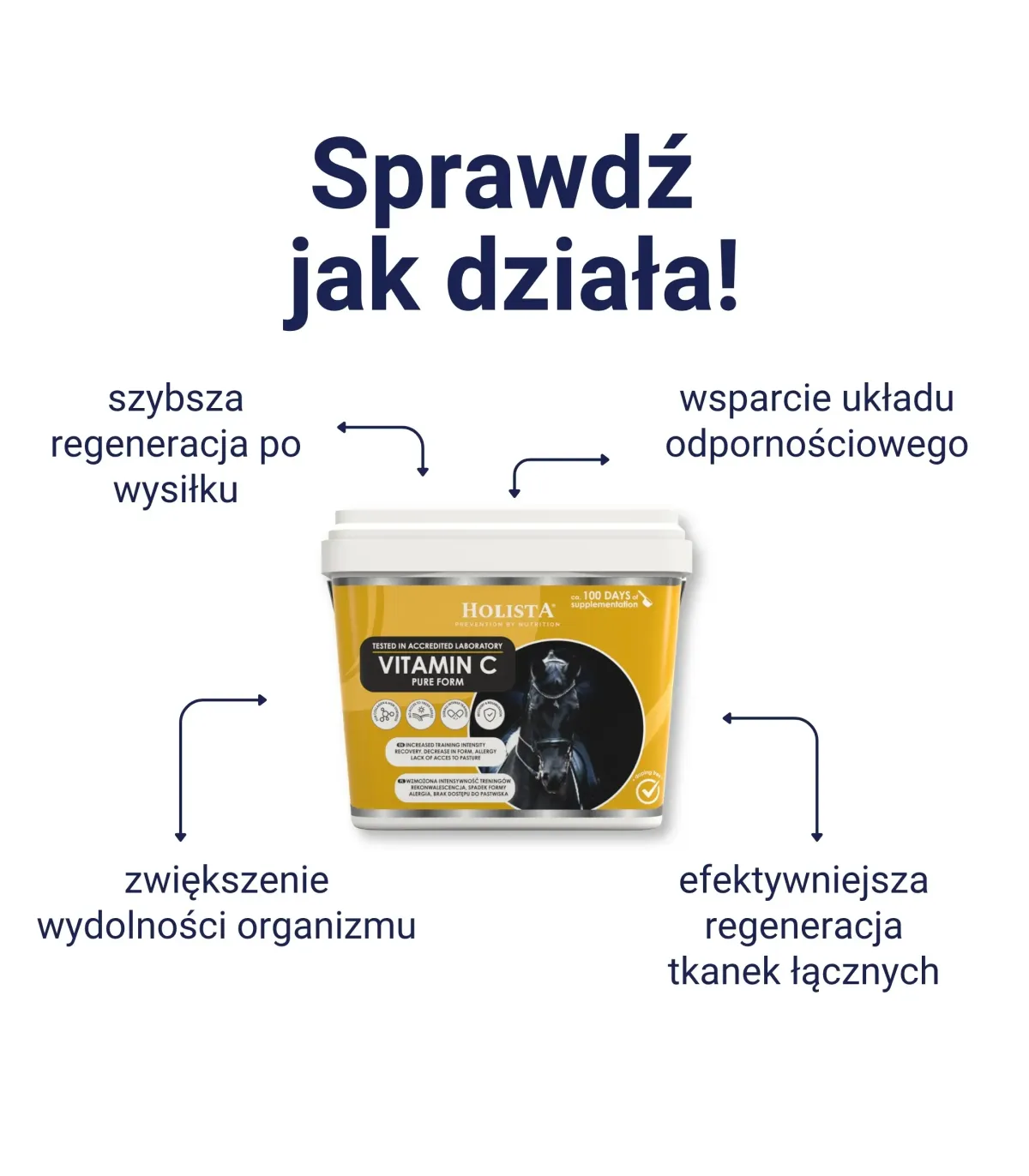 Wsparcie skóry, sierści i odporności - Biotin Forte 1000g + Witamina C 600g