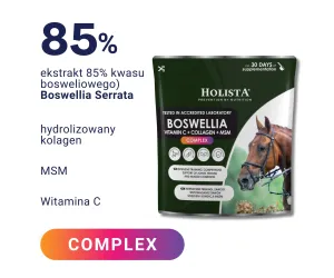 Boswellia Serrata Complex 500g regeneracja stawów