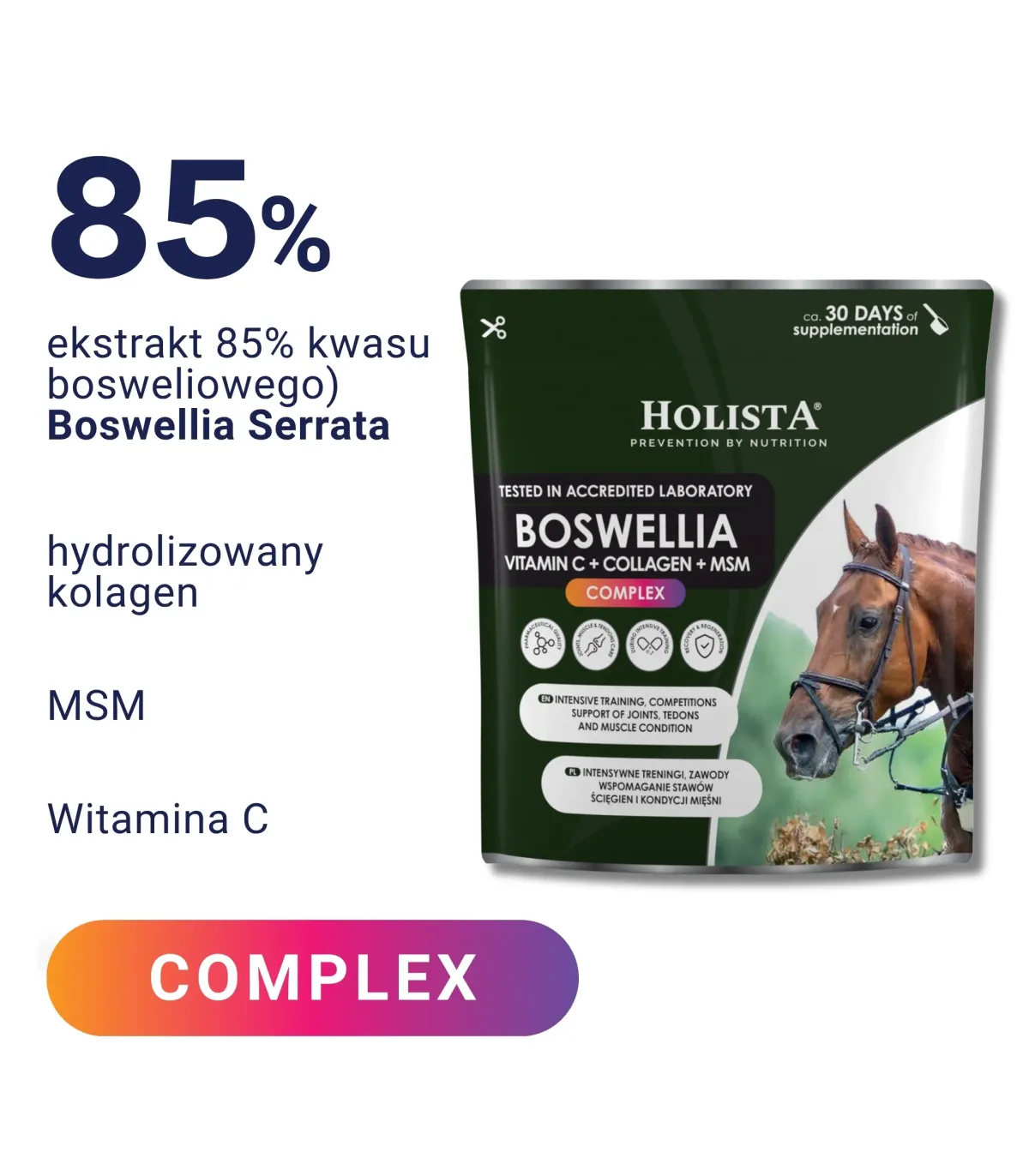 Boswellia Serrata Complex 500g regeneracja stawów