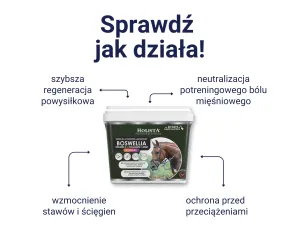 Boswellia Serrata Complex 500g regeneracja stawów