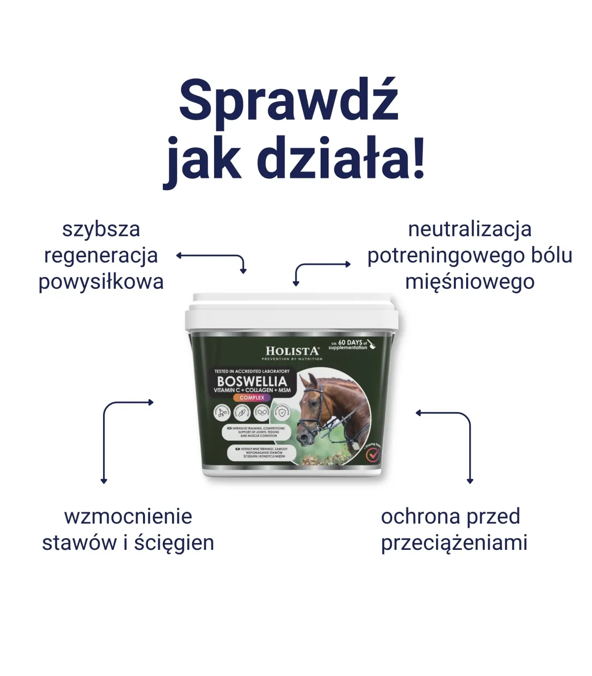 Boswellia Serrata Complex 500g regeneracja stawów