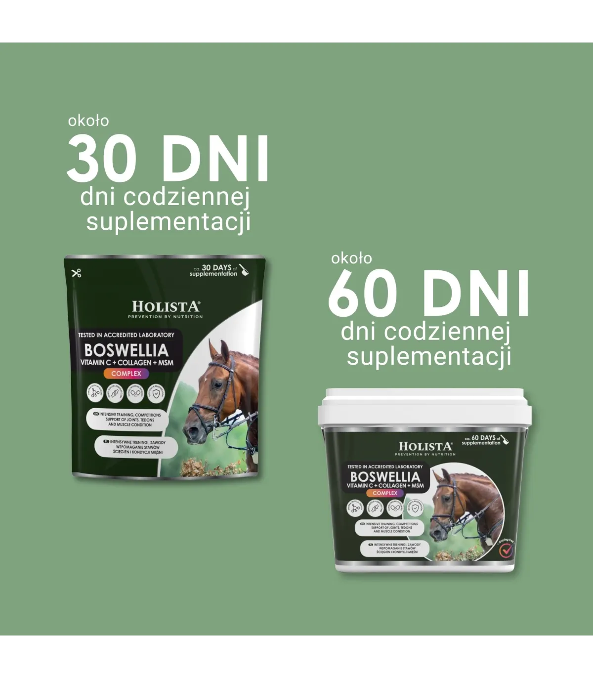 Boswellia Serrata Complex 500g regeneracja stawów