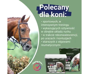 Boswellia Serrata Complex 500g regeneracja stawów