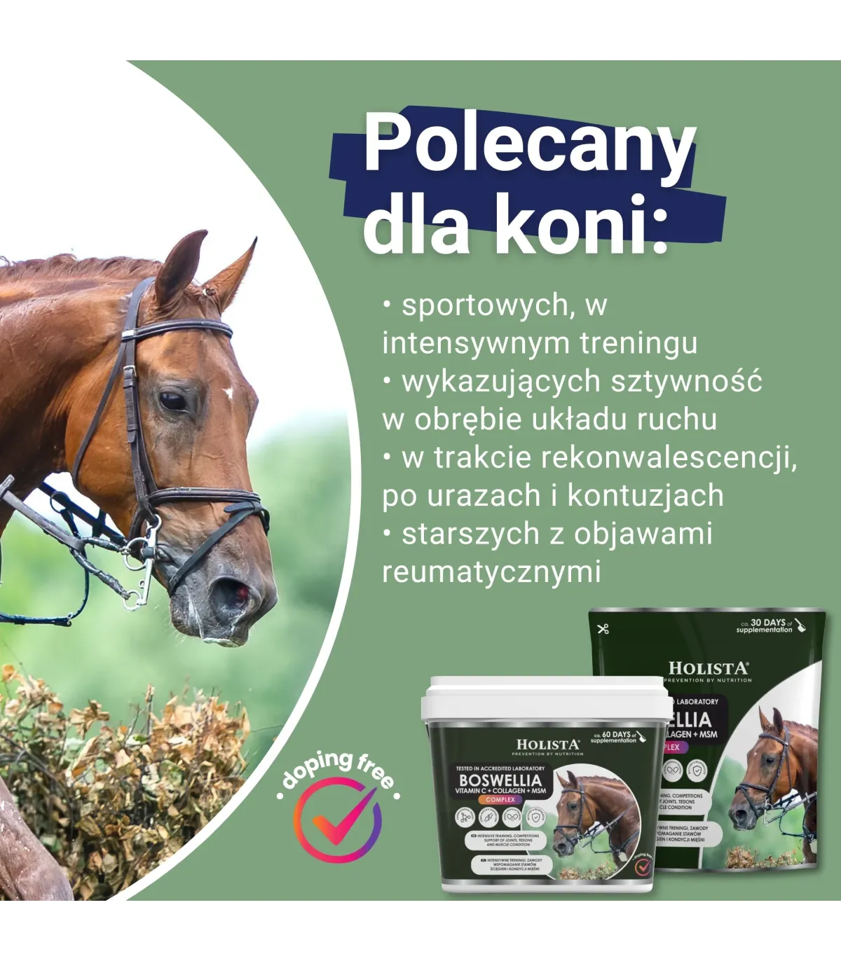 Boswellia Serrata Complex 500g regeneracja stawów