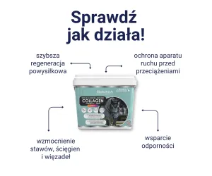 Kolagen 3w1 Vit C + MSM 600g wzmocnienie struktury ścięgien i stawów