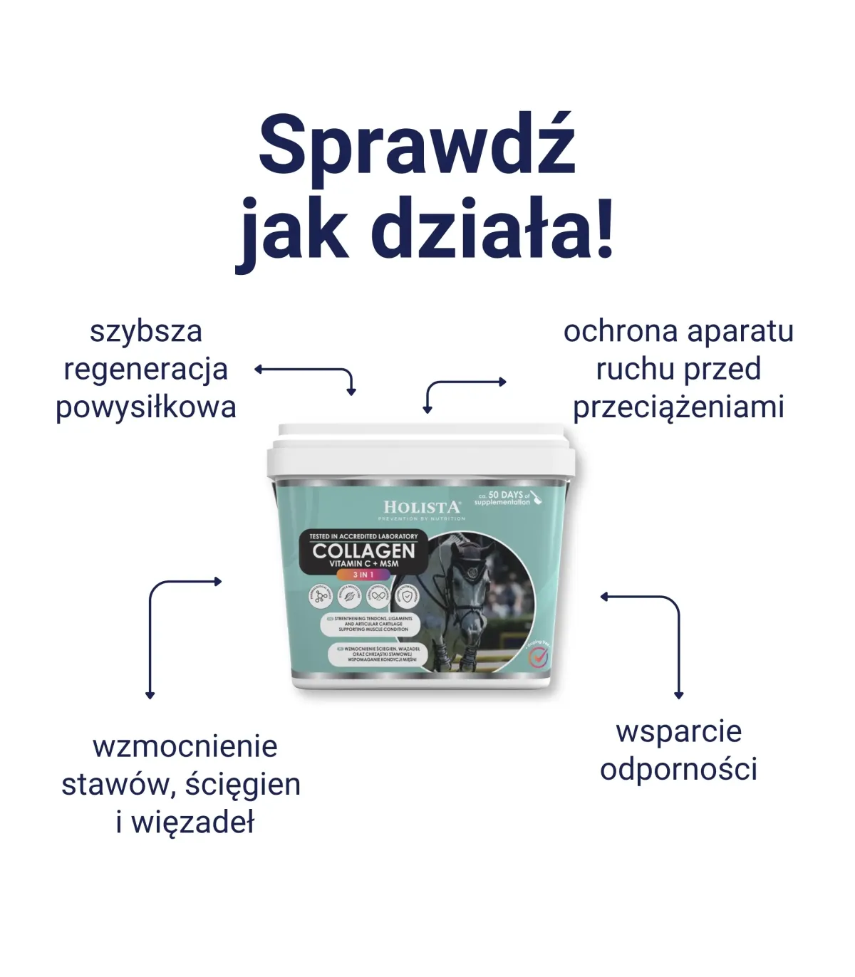 Kolagen 3w1 Vit C + MSM 600g wzmocnienie struktury ścięgien i stawów