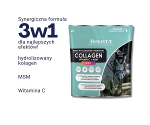 Kolagen 3w1 Vit C + MSM 600g wzmocnienie struktury ścięgien i stawów
