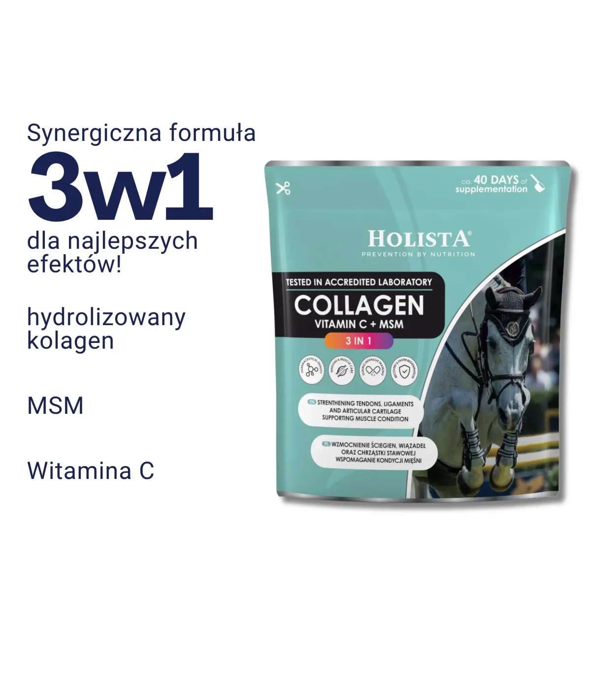 Kolagen 3w1 Vit C + MSM 600g wzmocnienie struktury ścięgien i stawów
