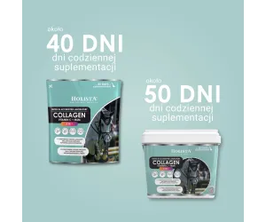 Kolagen 3w1 Vit C + MSM 600g wzmocnienie struktury ścięgien i stawów