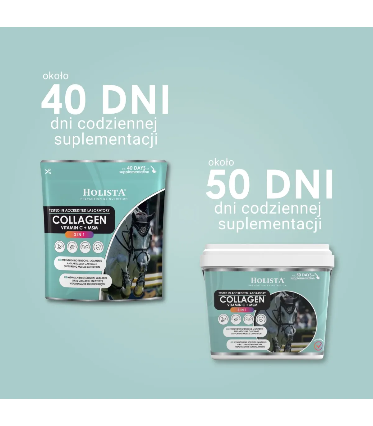 Kolagen 3w1 Vit C + MSM 600g wzmocnienie struktury ścięgien i stawów