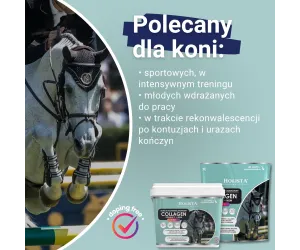 Kolagen 3w1 Vit C + MSM 600g wzmocnienie struktury ścięgien i stawów