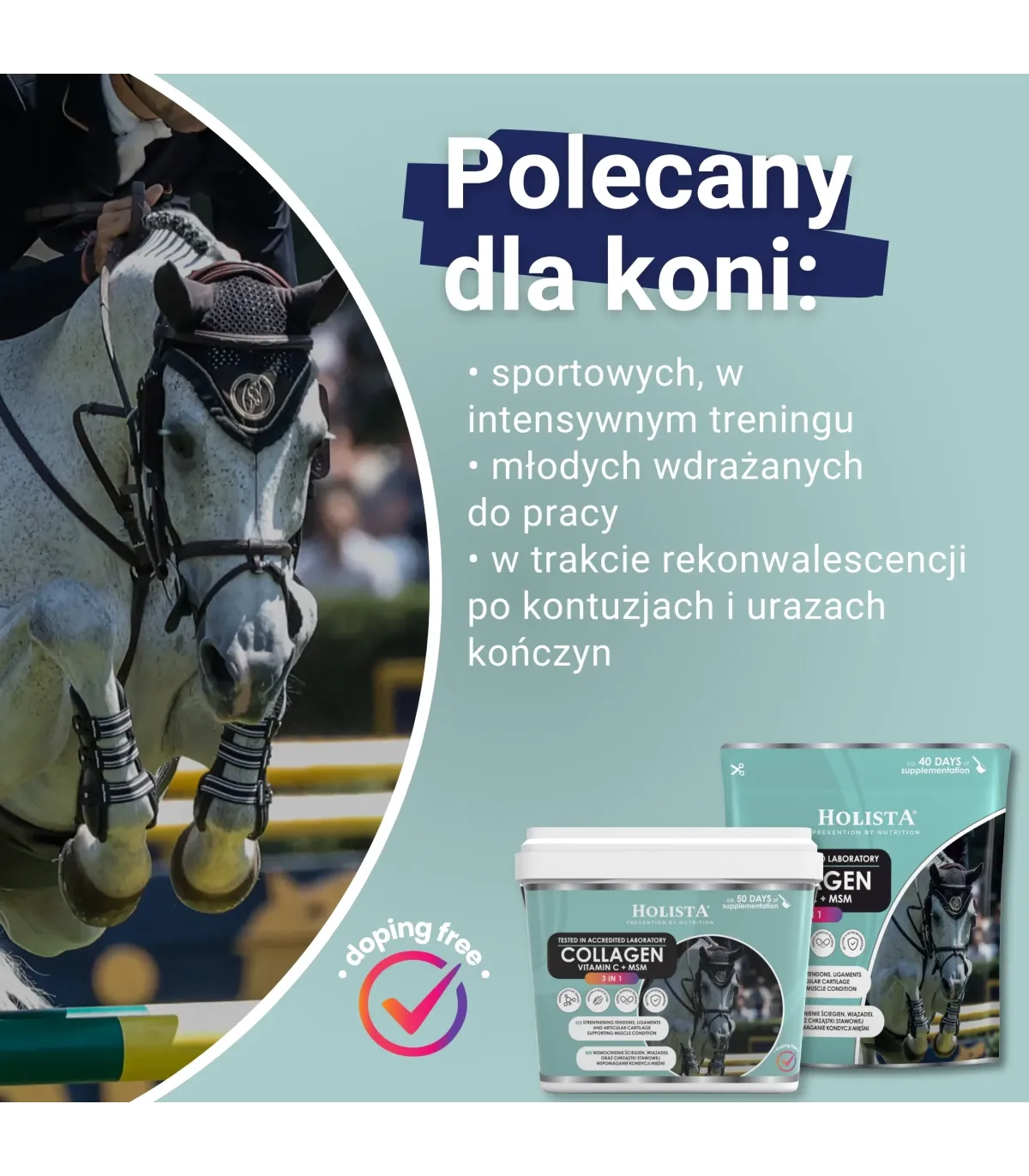 Kolagen 3w1 Vit C + MSM 600g wzmocnienie struktury ścięgien i stawów