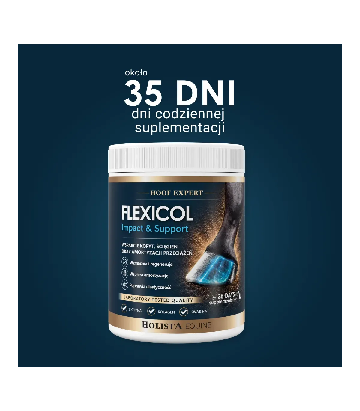 Flexicol Impact & Support 1000g