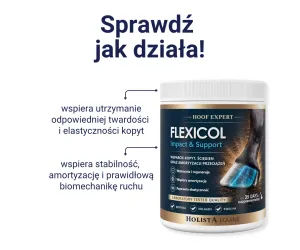 Flexicol Impact & Support 1000g