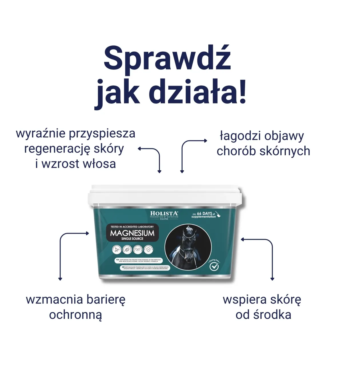 Magnesium 800g bezpieczne źródło magnezu
