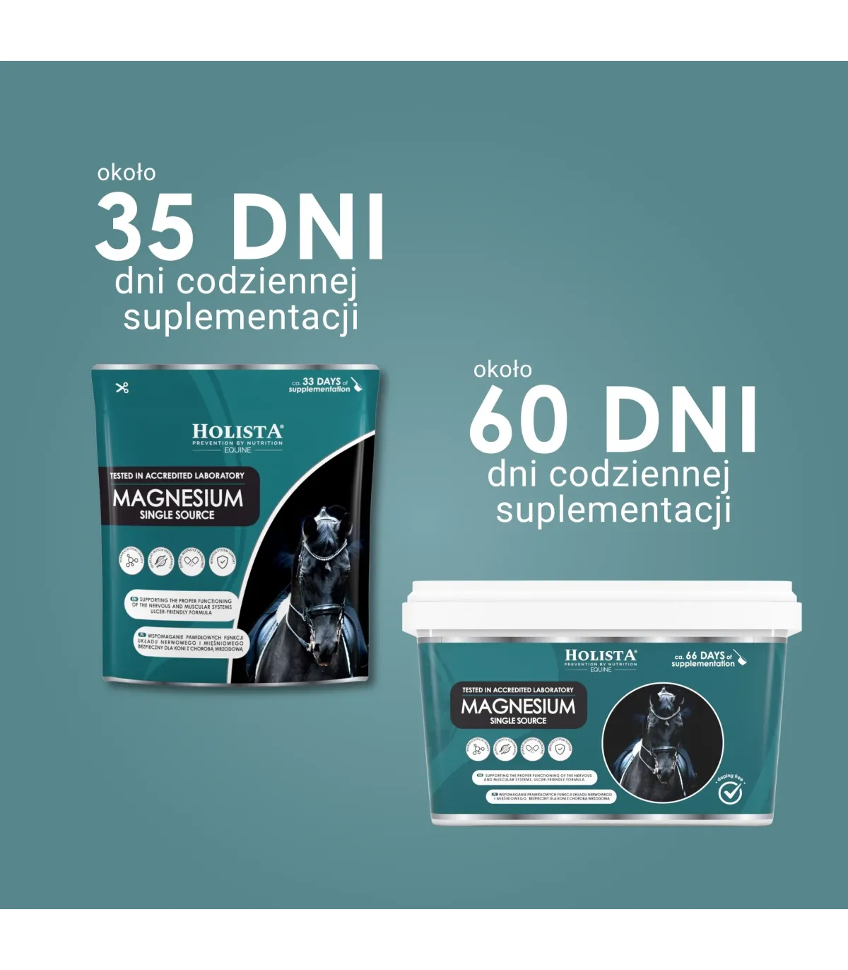 Magnesium 800g bezpieczne źródło magnezu