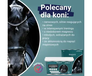 Magnesium 800g bezpieczne źródło magnezu