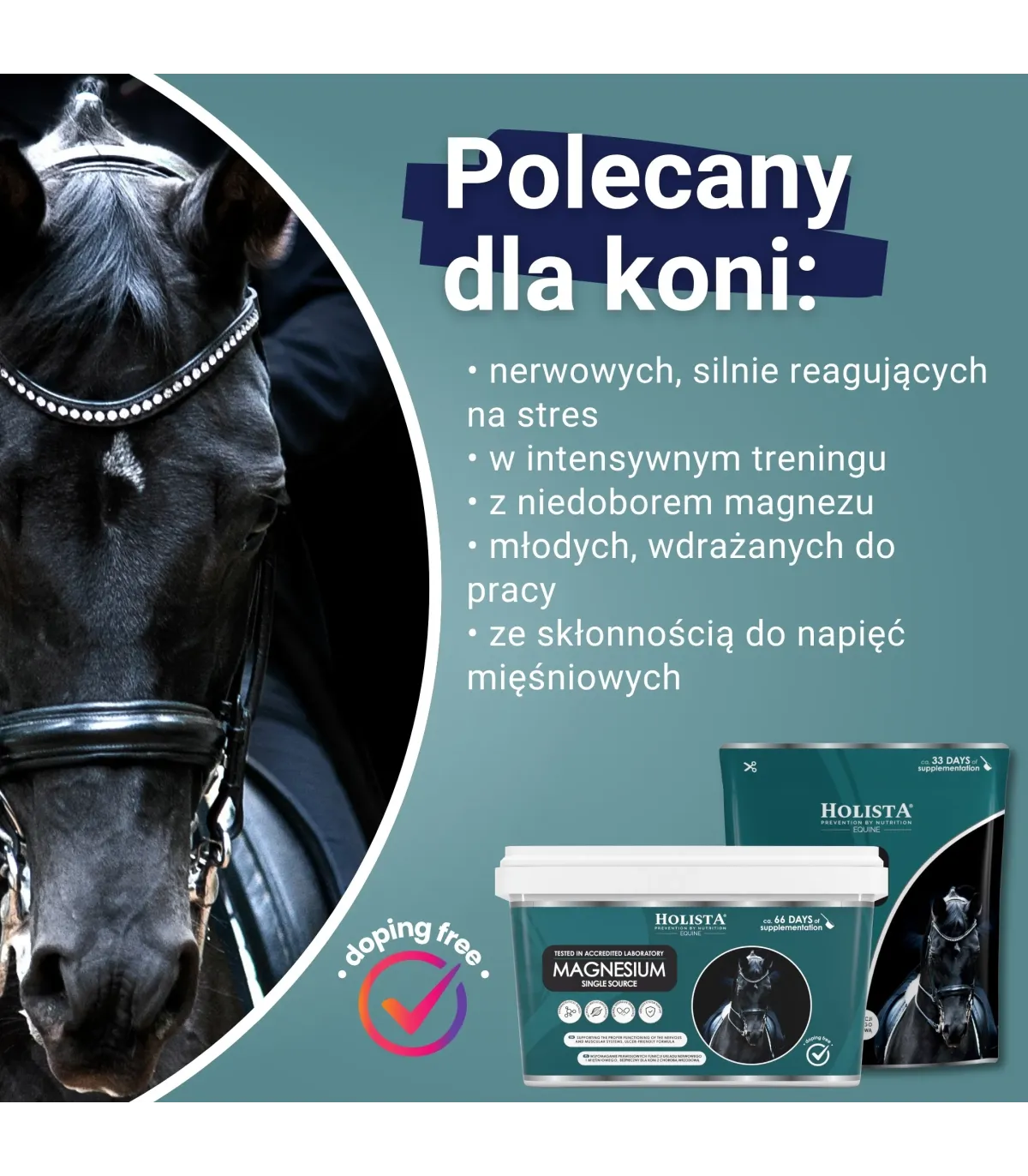 Magnesium 800g bezpieczne źródło magnezu